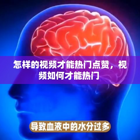 怎样的视频才能热门点赞,视频如何才能热门