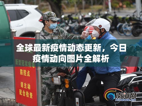 全球最新疫情动态更新，今日疫情动向图片全解析