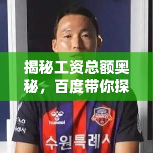 揭秘工资总额奥秘,百度带你探索未知领域!