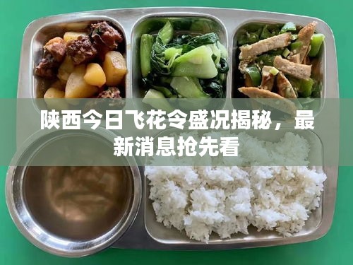 陕西今日飞花令盛况揭秘，最新消息抢先看