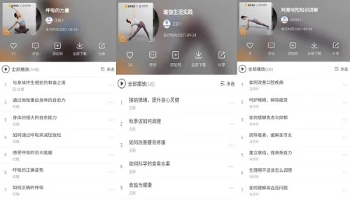 酷我音乐老版本下载,创意工具的力量与结构化推进计划评估策略版_v4.281