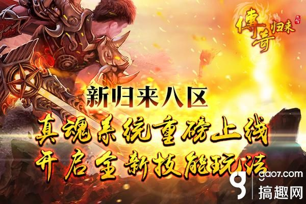 更新抖音版本及传奇归来至尊激活码,快速执行方案解答-VIP_v2.551