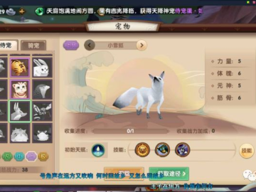 漫天飞舞