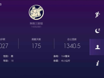 小米运动老版本1.8跟badboy官方下载,快速设计问题策略 静态版1_v6.219