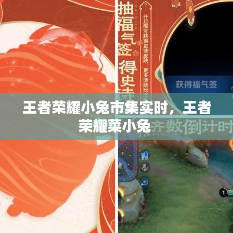 王者荣耀小兔市集实时,王者荣耀菜小兔
