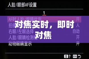 对焦实时,即时对焦