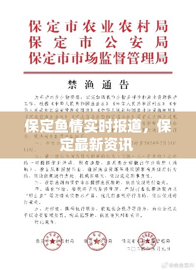 保定鱼情实时报道,保定最新资讯
