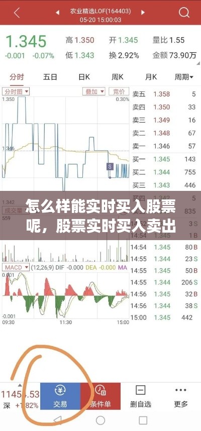 怎么样能实时买入股票呢,股票实时买入卖出怎么看
