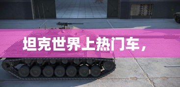 衣不重采 第3页