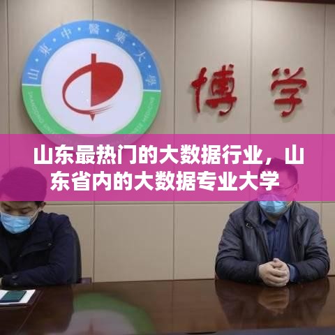 山东最热门的大数据行业,山东省内的大数据专业大学