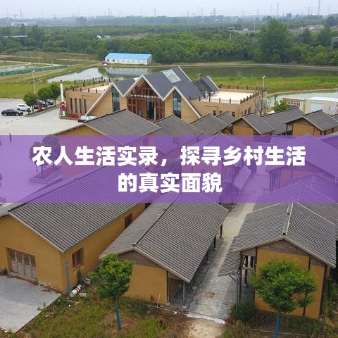 农人生活实录，探寻乡村生活的真实面貌