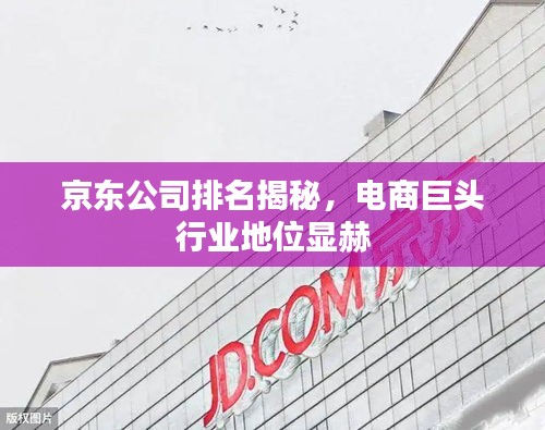 京东公司排名揭秘，电商巨头行业地位显赫
