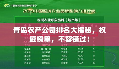 落土飞岩 第2页