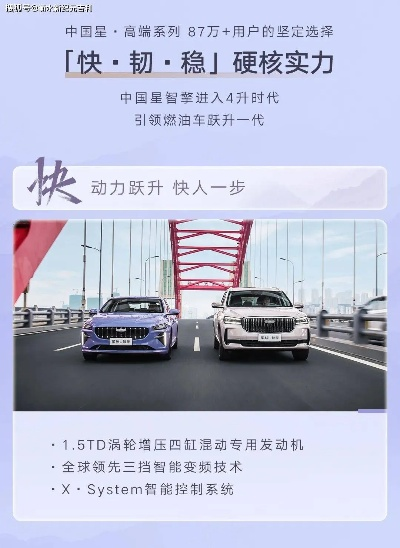 官方星星正版下载,实地验证设计方案&领航款_v5.436