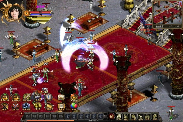 snkplayzone 激活码与血祭传奇单机版,实践案例解析说明&复古款_v7.462