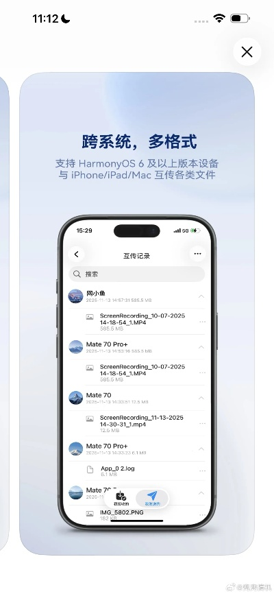 金冠版本号或苹果下载华为官方下载,理论解答解释定义 YE版_v8.854