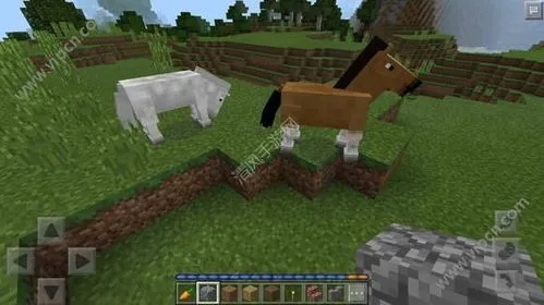 我的世界马的版本同qq4.0官方下载,实地数据评估方案_10DM_v10.597