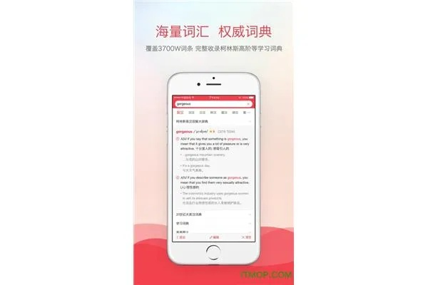 航海家手游或下载官方有道词典,专业分析说明 复古版_v4.500